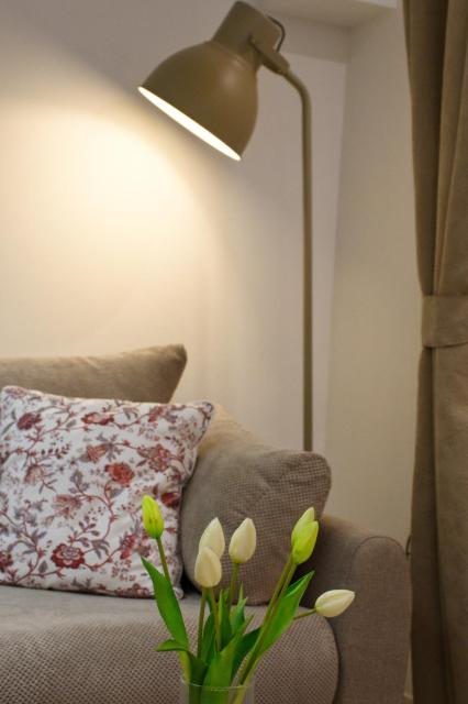 Apartment Anna - FREE Pickup from OR Dropoff to Zagreb airport AT ANY TIME, please give three days advance notice - Long-term parking with airport transport possibility