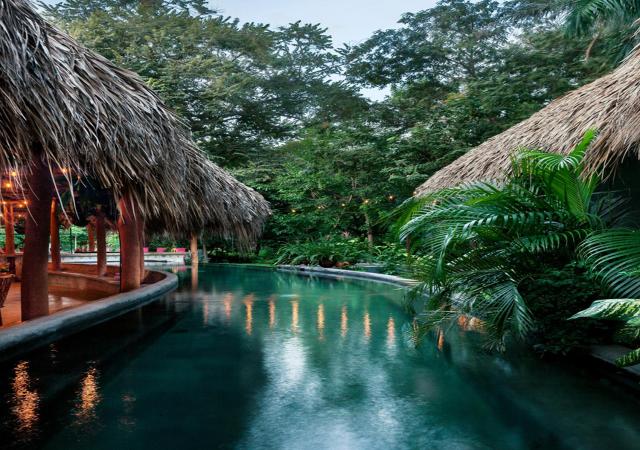 the SPACE Jungle Oasis