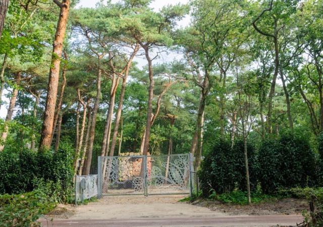 Villa in the forest near the beach