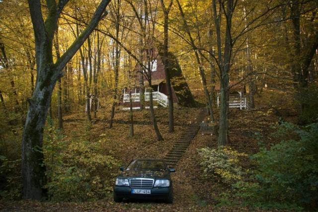 Noszvaj Cabin