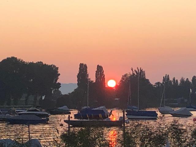 Idyllische Ferienwohnung am See