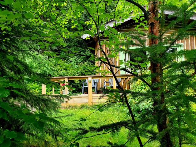 High Falls Motel & Cabins