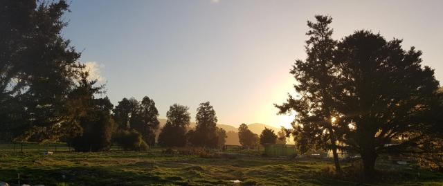 Cosy Cabin in the Paddocks - Breakfast Included