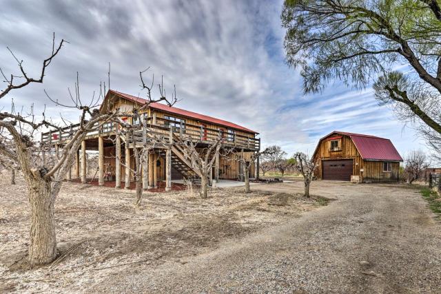 Palisade Cottage on Orchard - Hike, Bike + More!