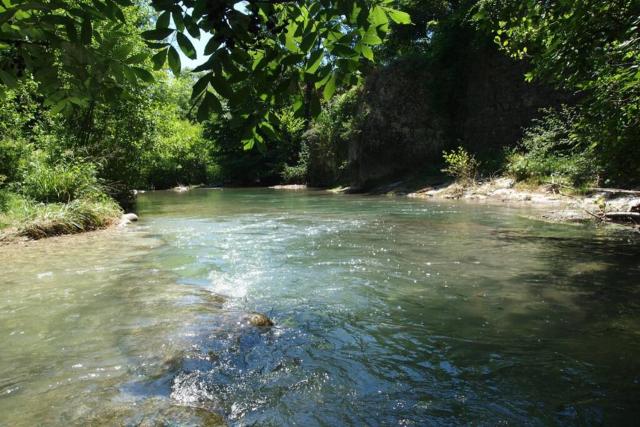 Les pieds dans l'eau - l'Olivier - Rivière privée - Piscine