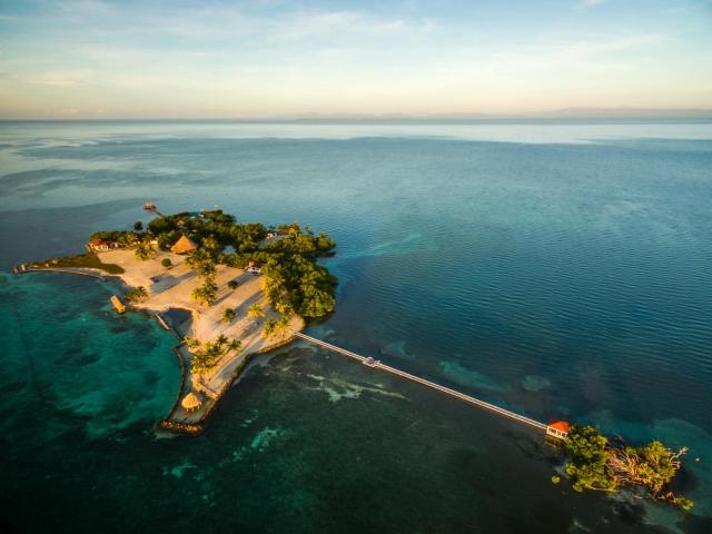 Royal Belize