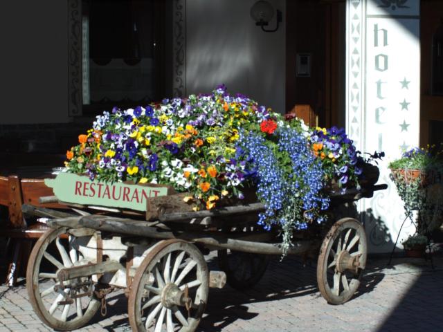 Hotel Baita Fiorita