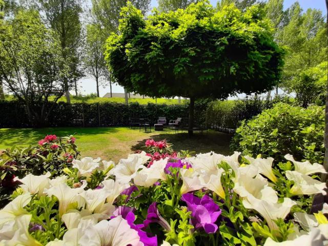 BedandBreakfast Casa Martina