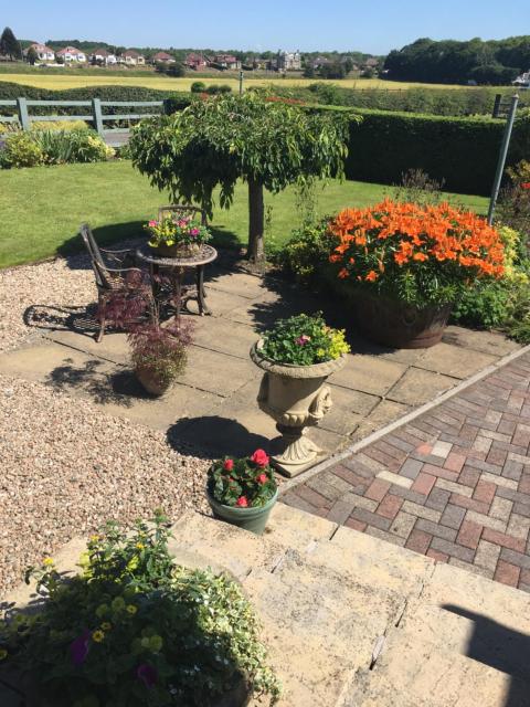 Auchenlea lodges