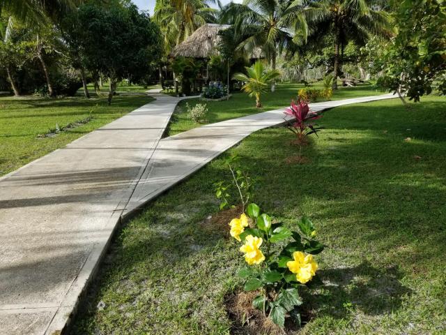 Nature Resort