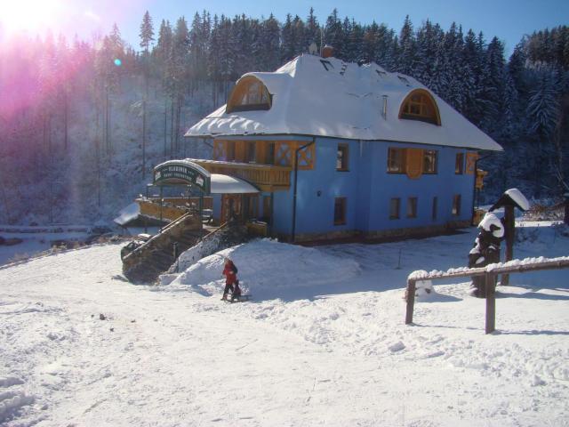 Hotel Vladimír
