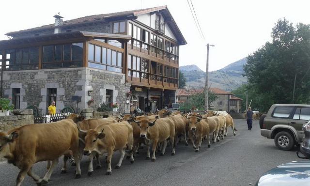 Posada el Mirador