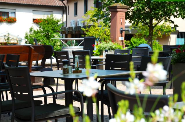 Gasthof zur Traube