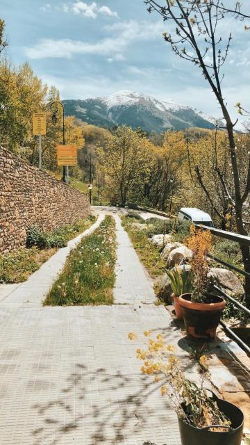 Alberg Taull