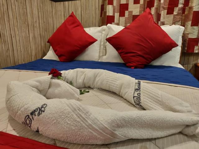 Hotel nala residency