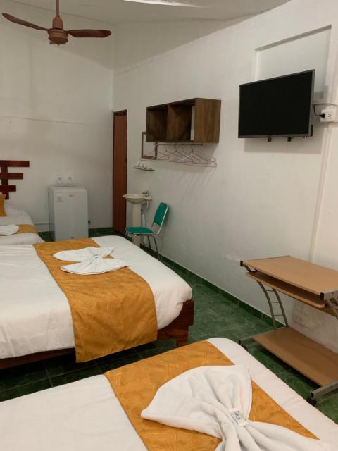 Hotel Don Robert