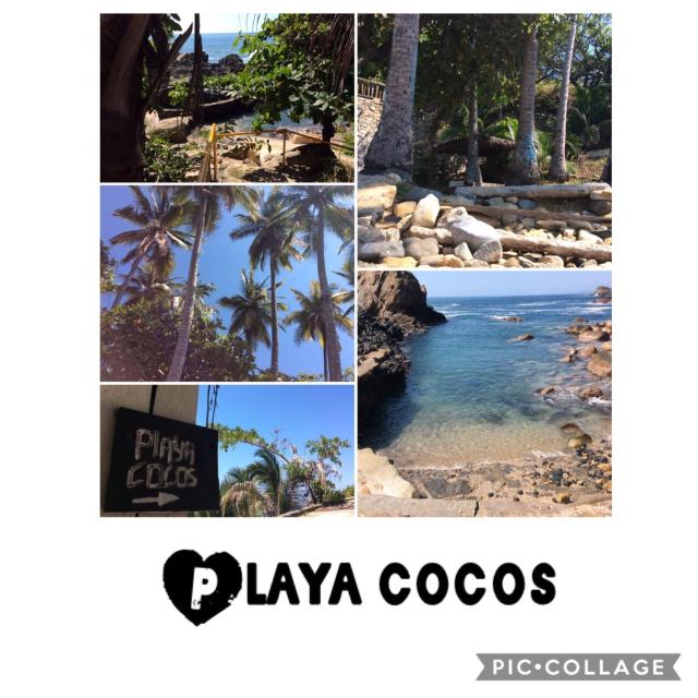 cocos camp