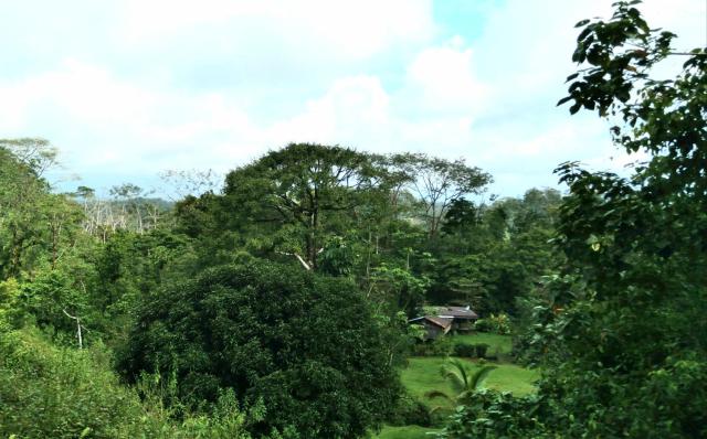 Finca Sueno de Osa