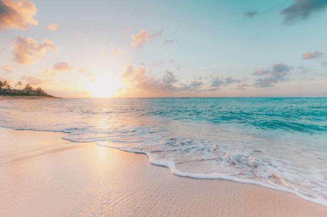 Enjoy the sunset at OCEAN FRONT 1BR Apartment - pool on site!