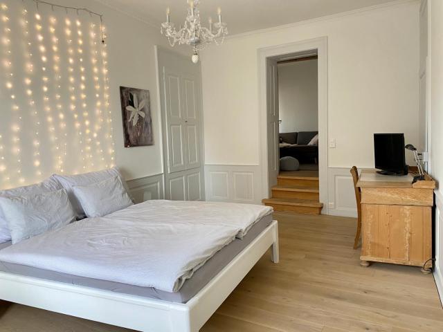 Charming Apartment-Walk to Old Town, Thun