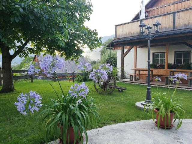 Ortnerhof Ennstal