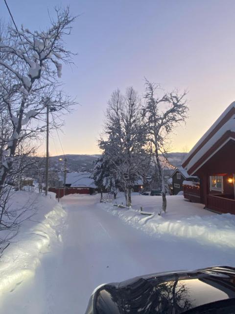 Villa Solsiden Geilo