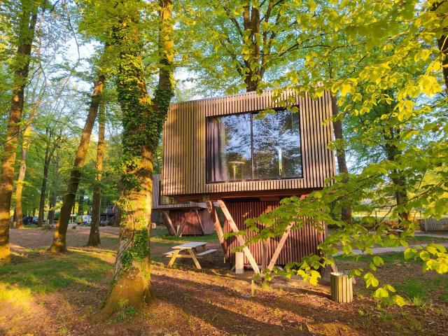 L'étape en forêt