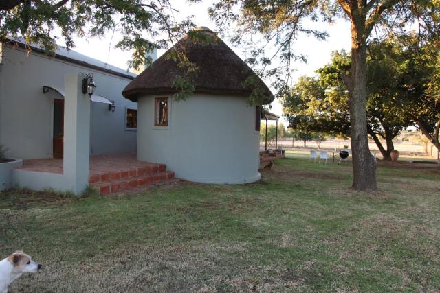 Brakkies the Country dog Escape