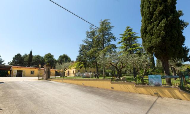 Bed&Breakfast Il Frantoio