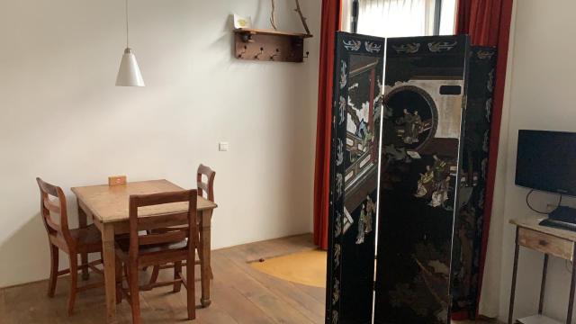 Studio-apartment in city-center