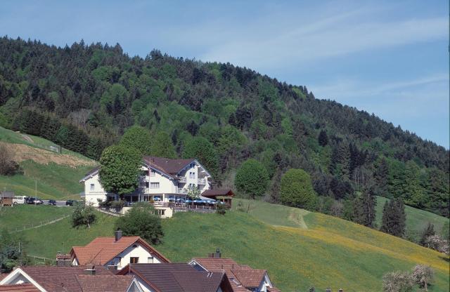 Panorama Hotel Freudenberg