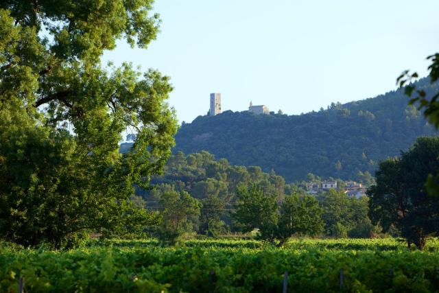 Chateau de Saint Martin