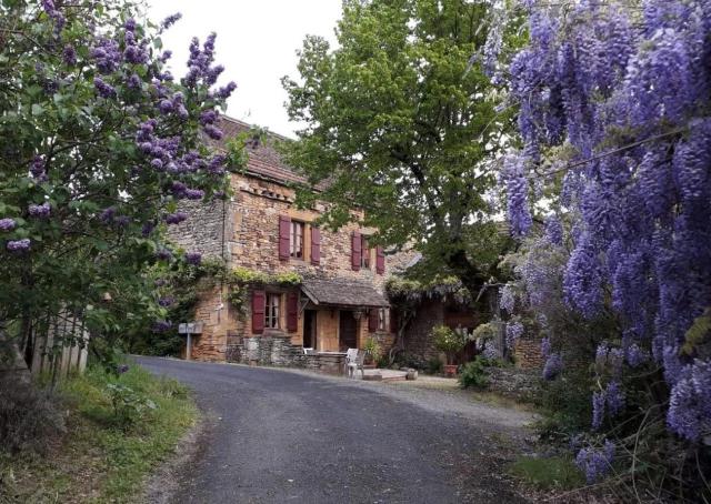 La Libellule and Le Papillon gites at Les Leroux, near Frayssinet-le-Gelat