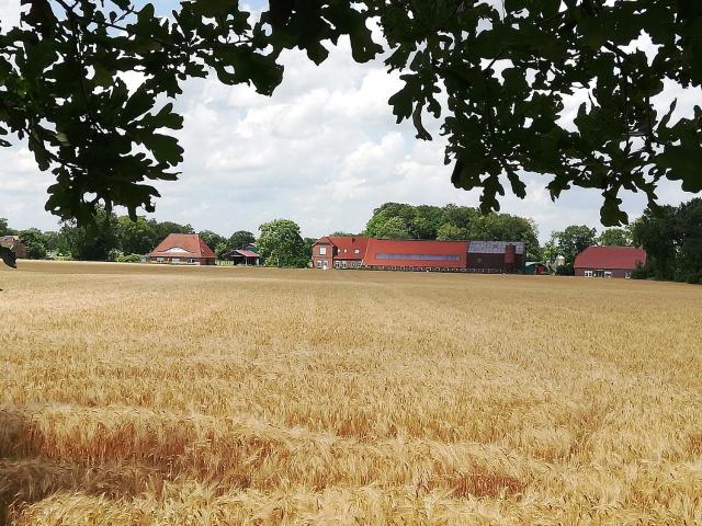 Etzel-Lodge Weideblick