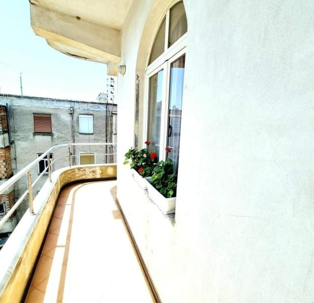 Luckyshine hostel
