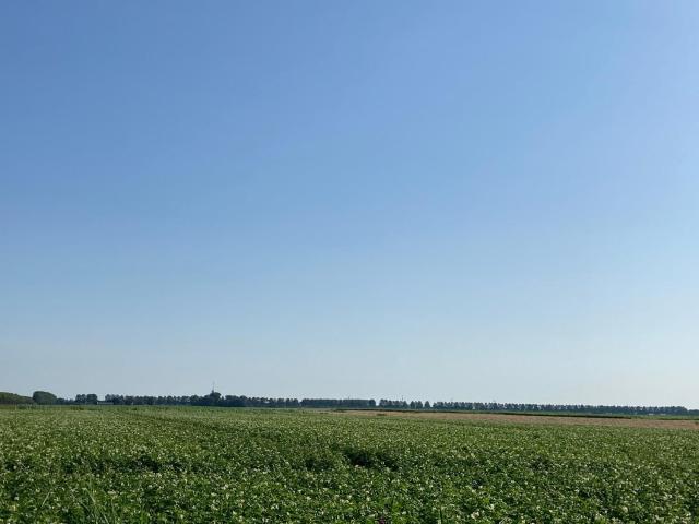 Polderhoek