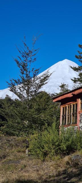 Vista al volcán con tinaja y río en Conguillío
