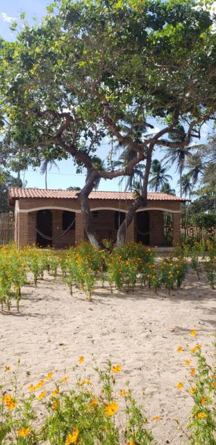 Pousada Vila Mangue Seco