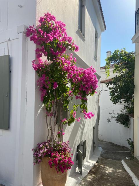 Raphael Skiathos Living-Olga