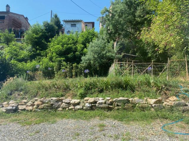 Dolce Vita in Tuscany B&B