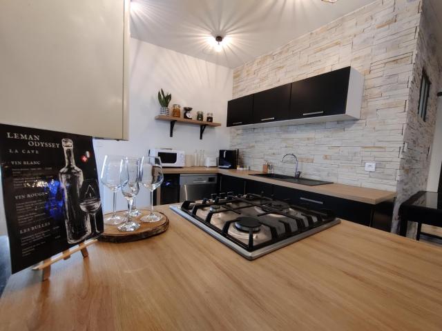 Appartement Hyper Centre Evian - Leman Odyssey