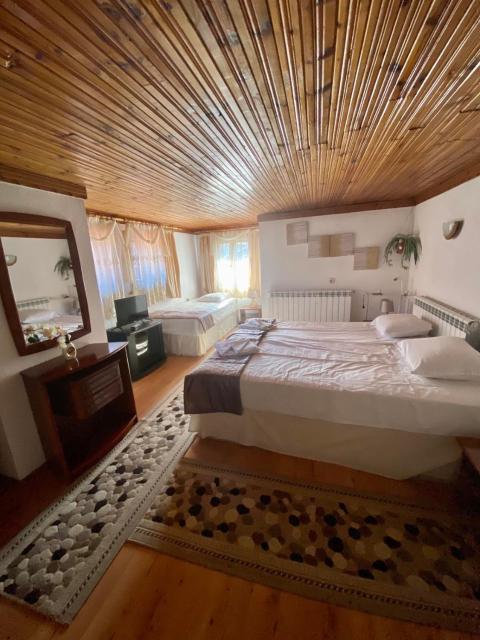 Guest House Detelina