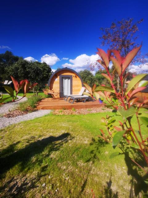Camping Les Prés du Roi