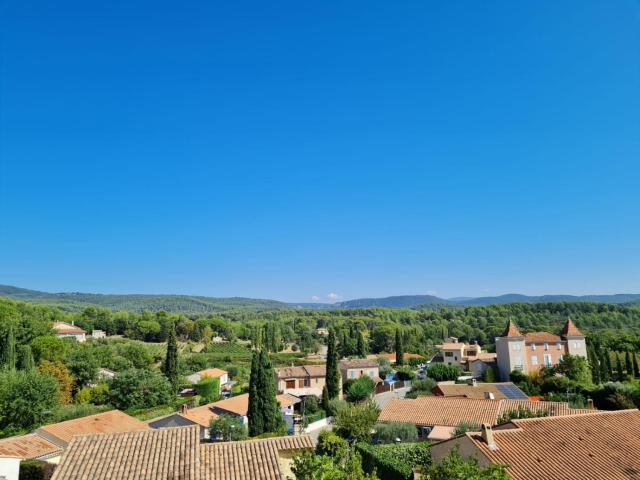 LA BASTIDE DU GINESTE - Olives