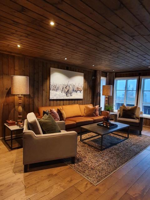 Beautiful cabin at Lifjell perfectly located for hiking and skiing with sauna