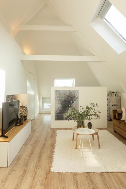 Huize Copes apartment Den Haag, 2 bed, 2 bath