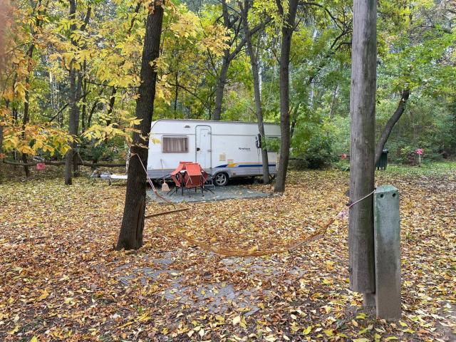 Tisza-beach wild camping 5