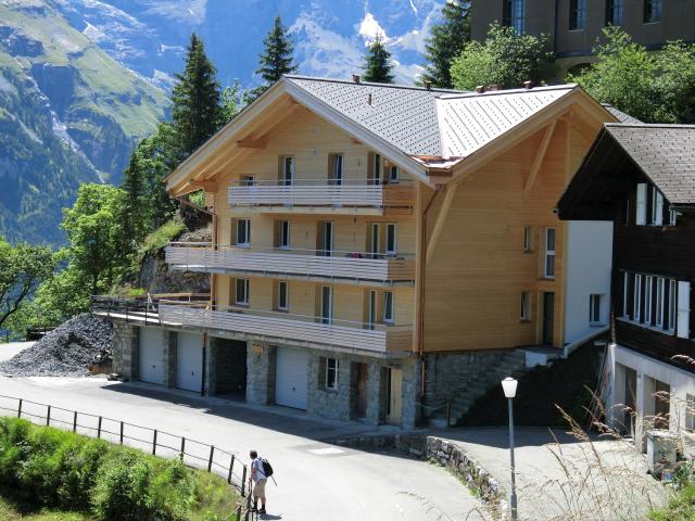 Chalet Raufthubel