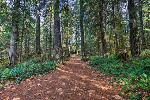 River Views, Private Hot Springs Tub, Forest, Deck
