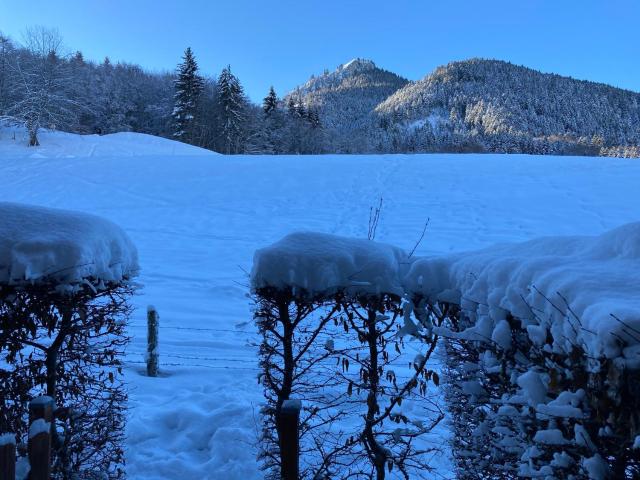 Appartement 2 pièces 5 pers pieds des pistes terrasse sans vis à vis